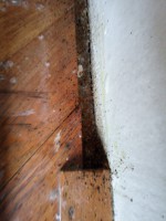 /album/fotogalerie/img-20160803-135853-1-jpg1/